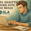 Data Analyst Course with Job Support | Reframe Job with AI Skills for 2026, by SLA Consultants India
